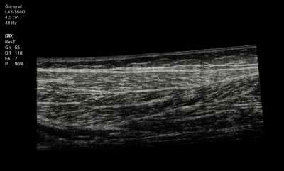 hs40_10_panoramic