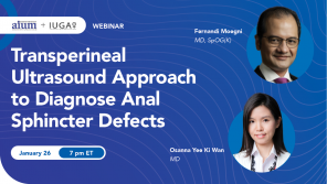 Webinář: Transperineal Ultrasound Approach to Diagnose Anal Sphincter Defects